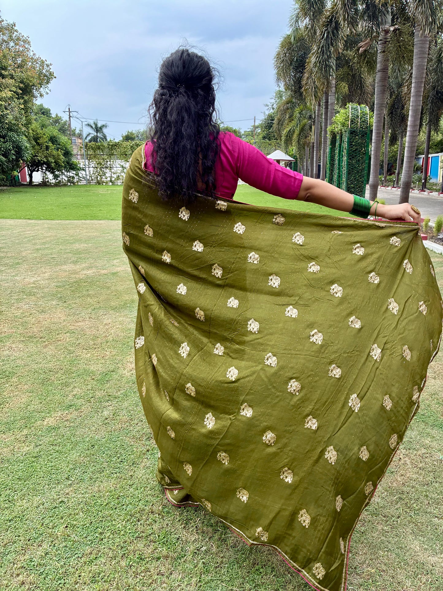 Green Elephant Motif Festive Saree