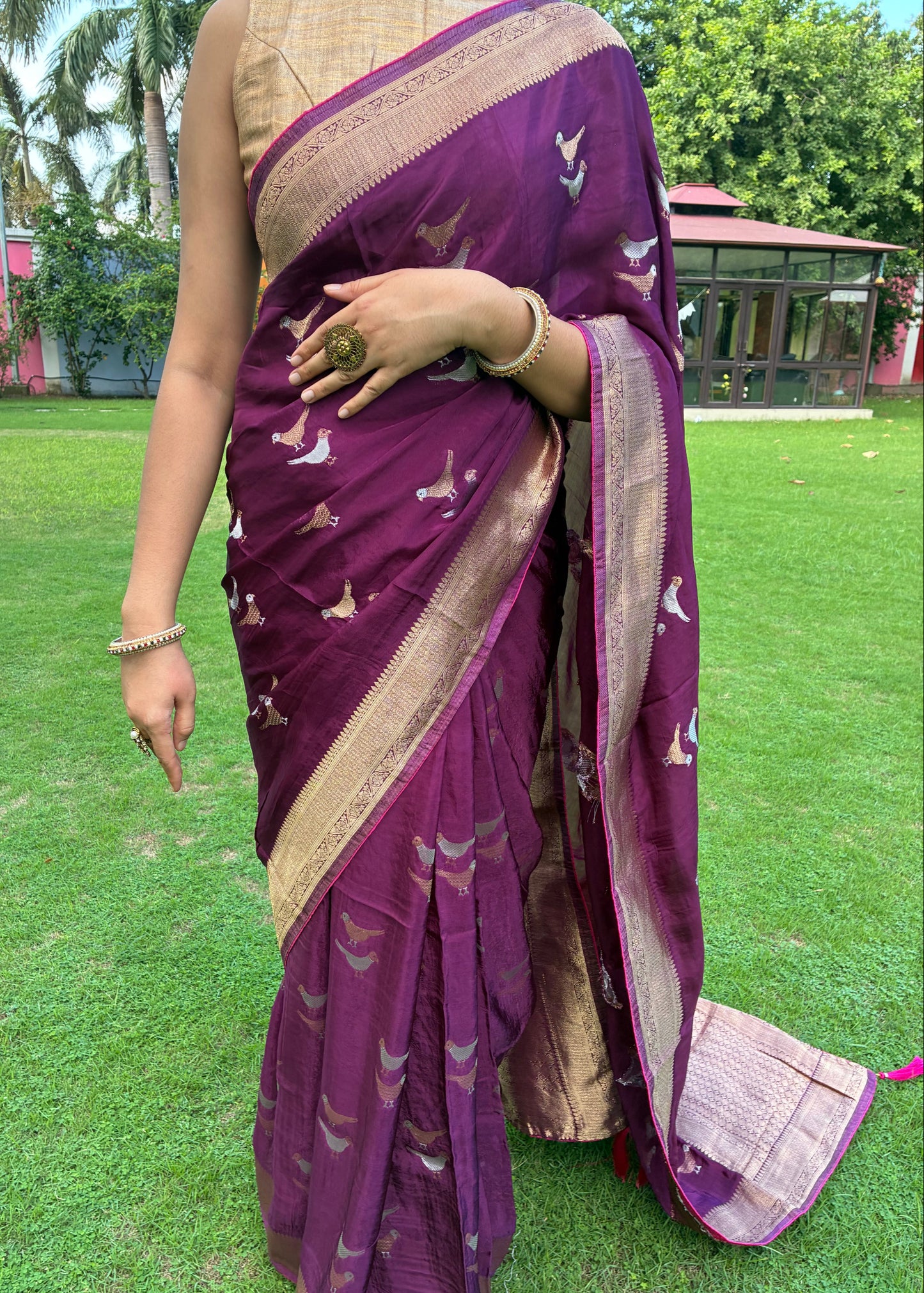Purple saree with gold border on a green grass background