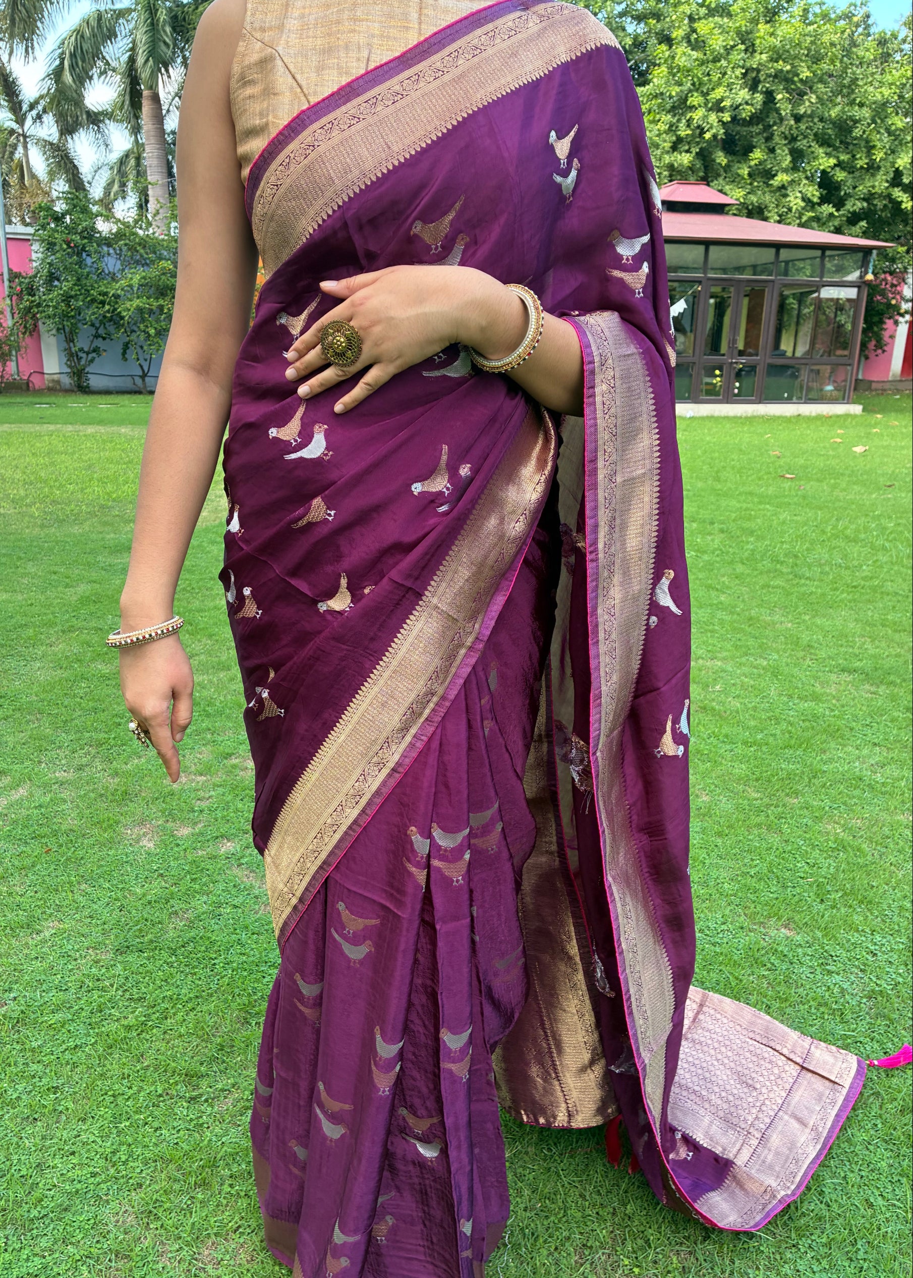 Purple saree with gold border on a green grass background